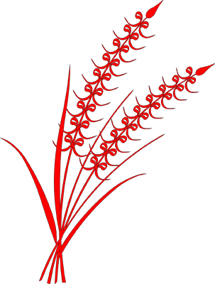 Image Alternative text